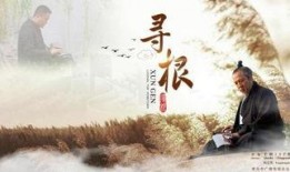 寻根在线观看,在线探索历史文化的魅力